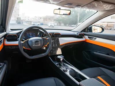 2025 دونج فينج شاين