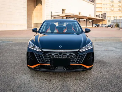 2025 دونج فينج شاين