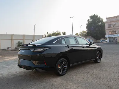 2025 دونج فينج شاين