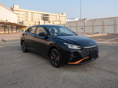 2025 دونج فينج شاين