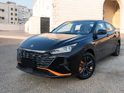 2025 دونج فينج شاين