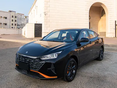 2025 دونج فينج شاين