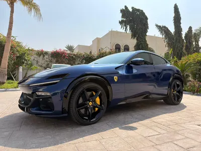 2026 فيراري بوروسانجوي