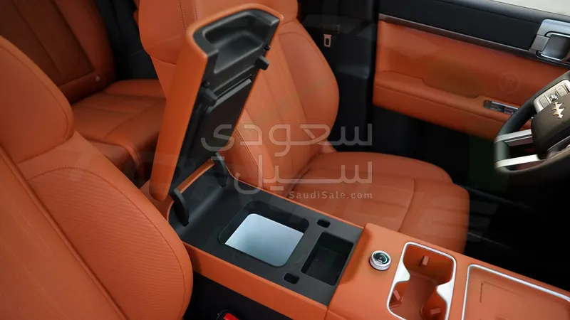 2025 بي واي دي اس 7