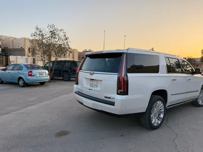 2019 كاديلاك اسكاليد بريميوم