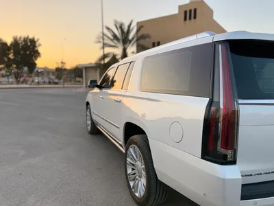 2019 كاديلاك اسكاليد بريميوم