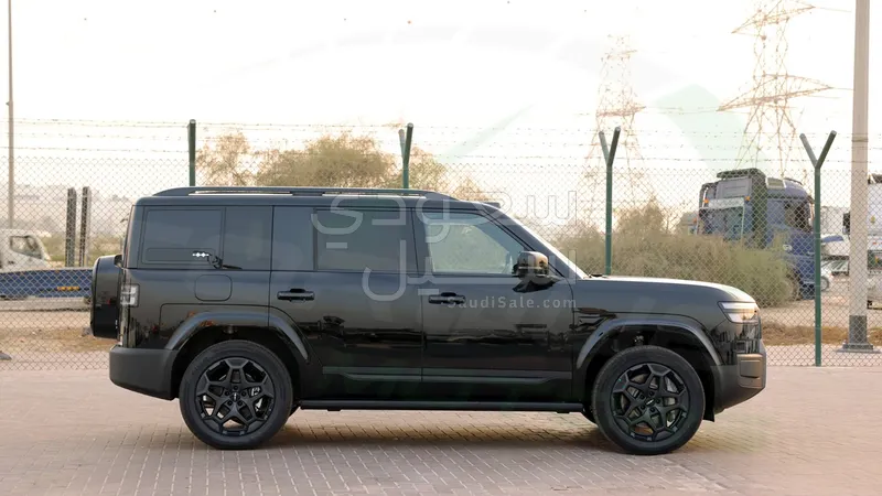 2025 بي واي دي اس 7