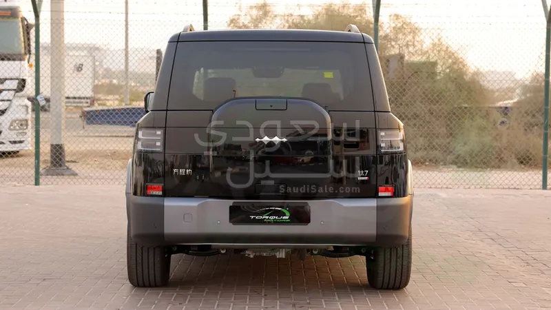 2025 بي واي دي اس 7