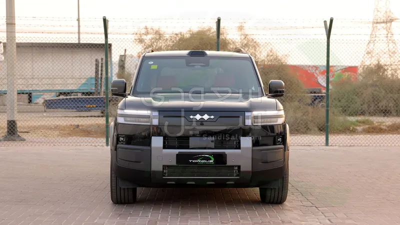 2025 بي واي دي اس 7