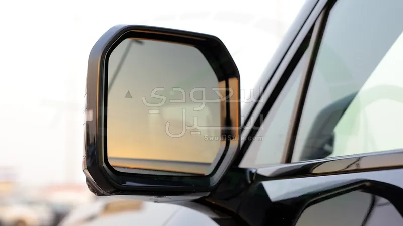 2025 بي واي دي اس 7