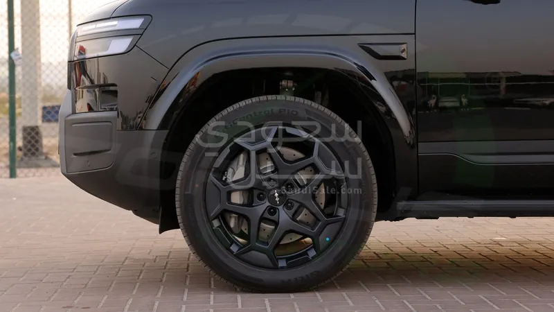 2025 بي واي دي اس 7