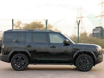 2025 بي واي دي اس 7