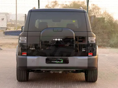 2025 بي واي دي اس 7