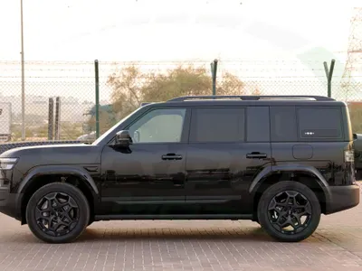 2025 بي واي دي اس 7