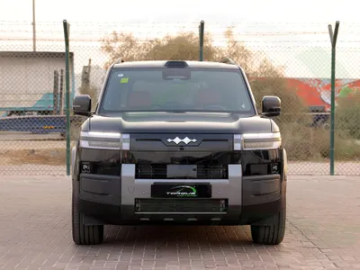 2025 بي واي دي اس 7