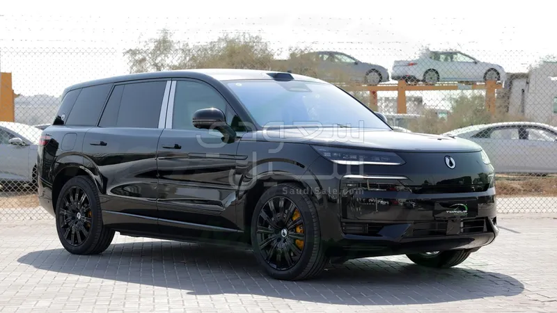 2025 بي واي دي ليوبارد 8