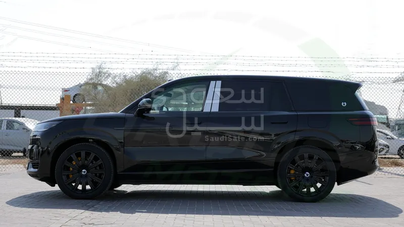 2025 بي واي دي ليوبارد 8