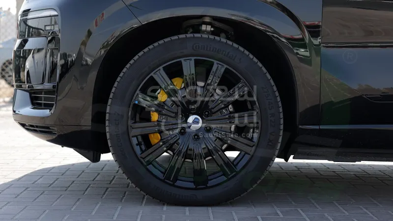 2025 بي واي دي ليوبارد 8