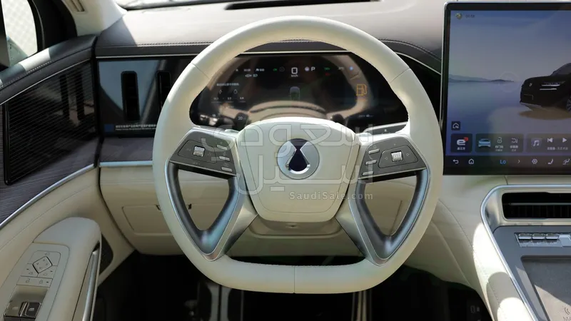 2025 بي واي دي ليوبارد 8