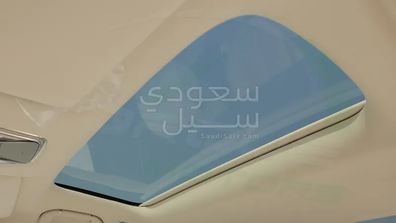 2025 بي واي دي ليوبارد 8