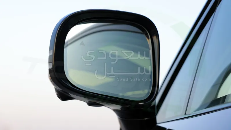 2025 بي واي دي ليوبارد 8