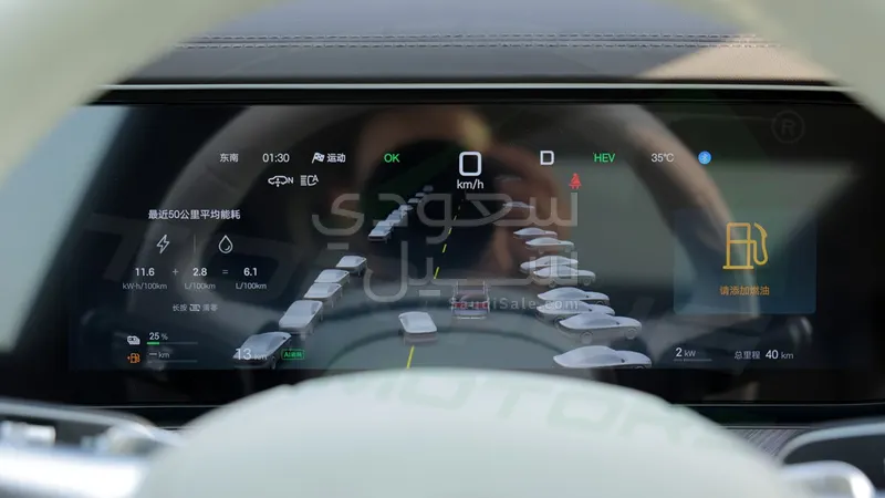 2025 بي واي دي ليوبارد 8