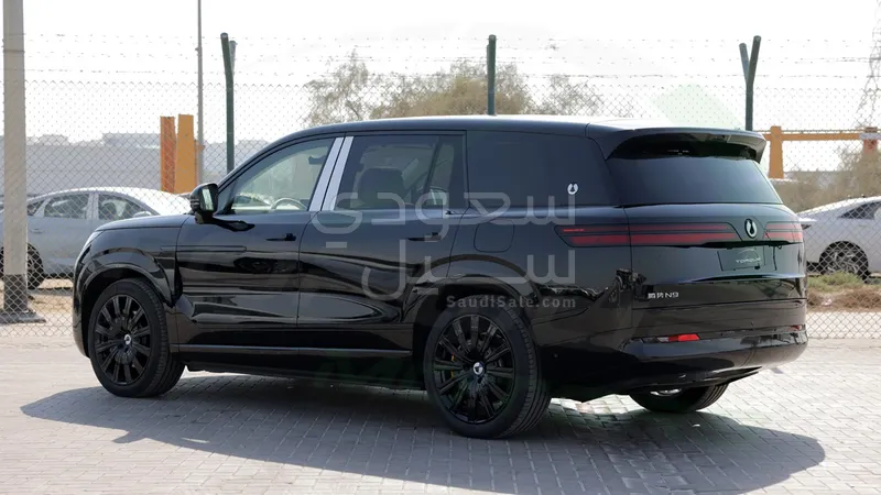 2025 بي واي دي ليوبارد 8