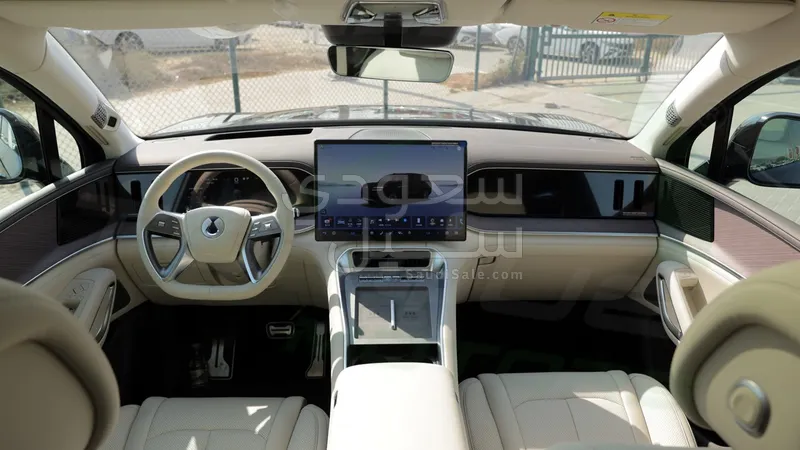 2025 بي واي دي ليوبارد 8