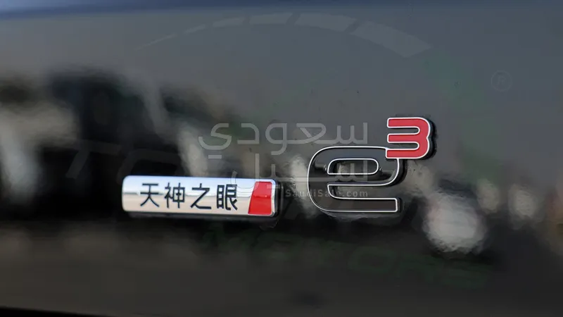 2025 بي واي دي ليوبارد 8