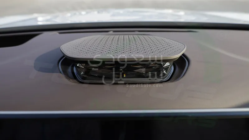 2025 بي واي دي ليوبارد 8