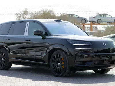 2025 بي واي دي ليوبارد 8