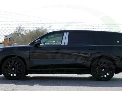 2025 بي واي دي ليوبارد 8