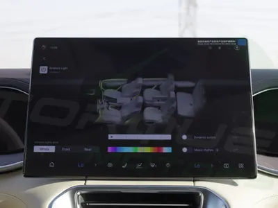 2025 بي واي دي ليوبارد 8