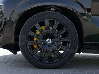 2025 بي واي دي ليوبارد 8