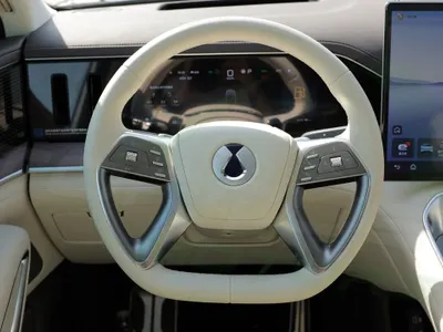 2025 بي واي دي ليوبارد 8