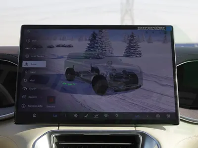 2025 بي واي دي ليوبارد 8