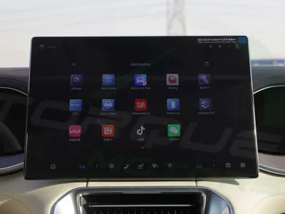 2025 بي واي دي ليوبارد 8