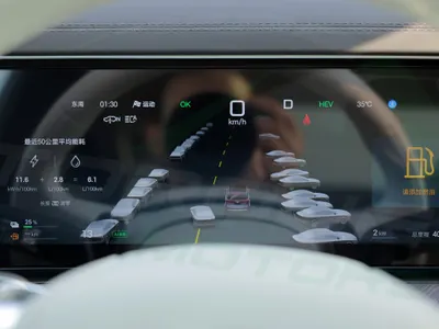 2025 بي واي دي ليوبارد 8