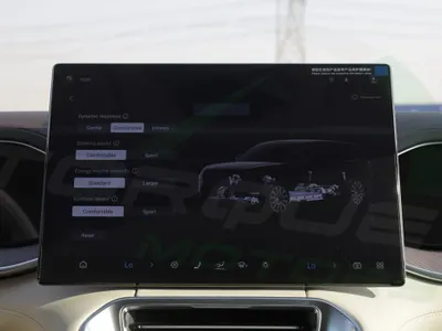 2025 بي واي دي ليوبارد 8