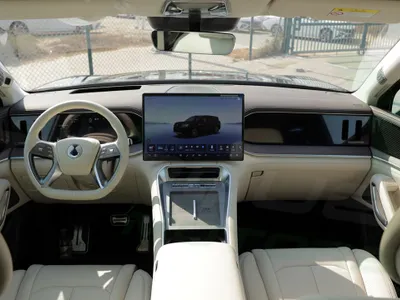 2025 بي واي دي ليوبارد 8