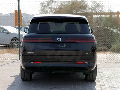 2025 بي واي دي ليوبارد 8