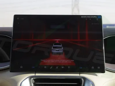 2025 بي واي دي ليوبارد 8