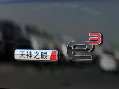 2025 بي واي دي ليوبارد 8