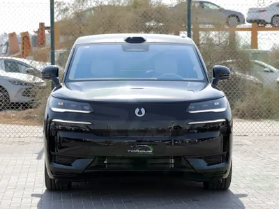 2025 بي واي دي ليوبارد 8