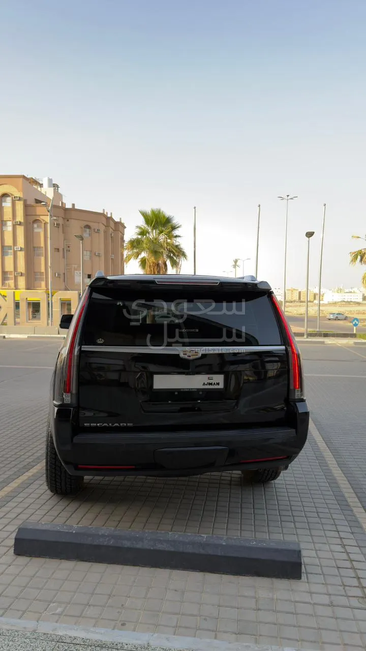 2019 كاديلاك اسكاليد بلاتينيوم