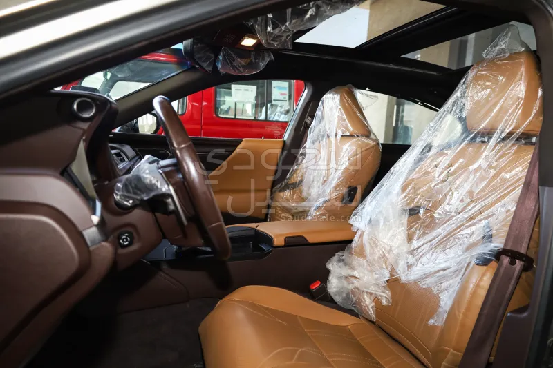 2019 لكزس إي إس 350