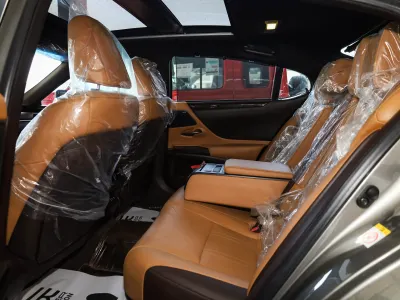 2019 لكزس إي إس 350