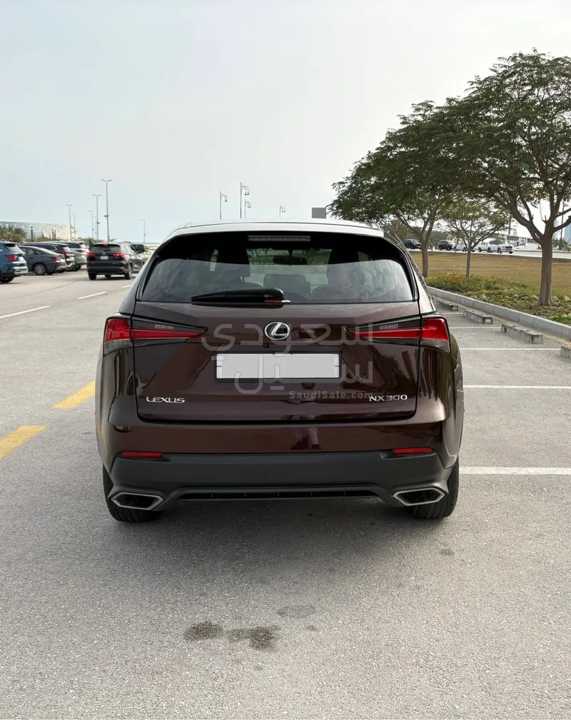 2018 لكزس إن إكس 300