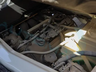 2025 سي ام سي فريكا