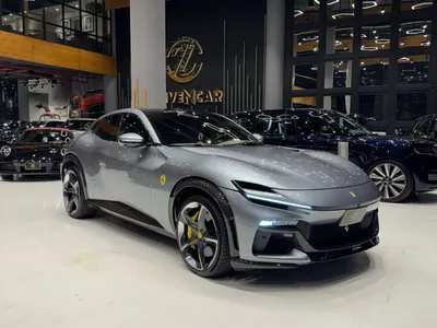 2024 فيراري بوروسانجوي